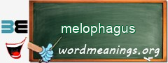 WordMeaning blackboard for melophagus